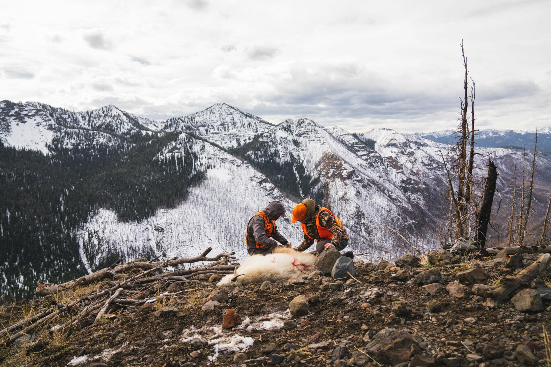 steven rinella