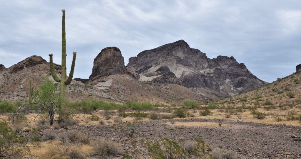 Best Outdoor Adventures near Glendale Arizona