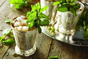 The Mint Julep