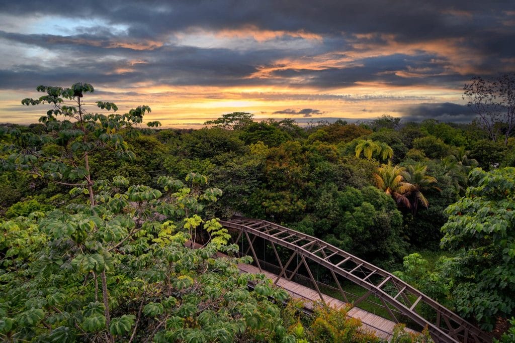 Crocodile Bay and Botánika