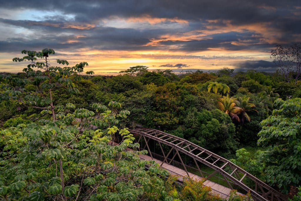 Crocodile Bay and Botánika