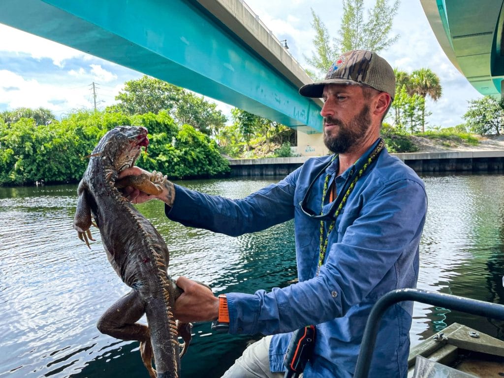 Python Cowboy Hunting Iguanas