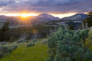 yellowstone national park rules