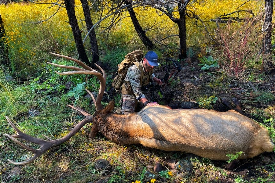 bowhunter cam hanes