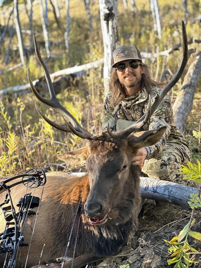 dale brisby bull elk