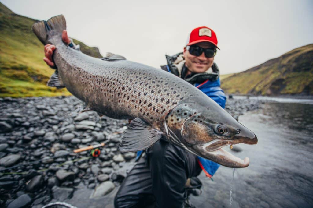 fly fishing for sea trout in iceland