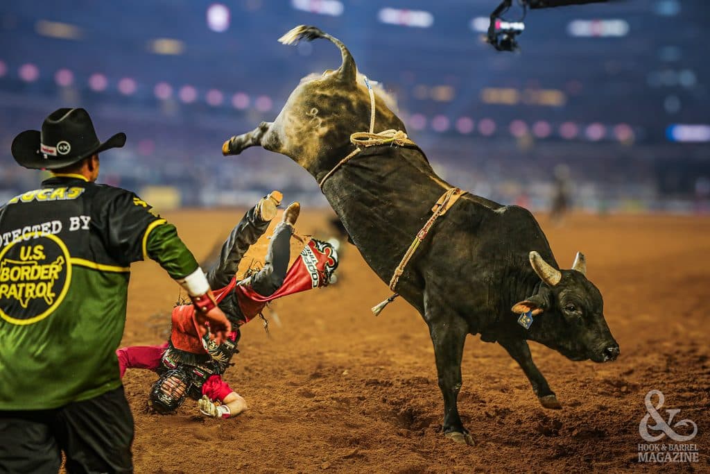 professional bull riding