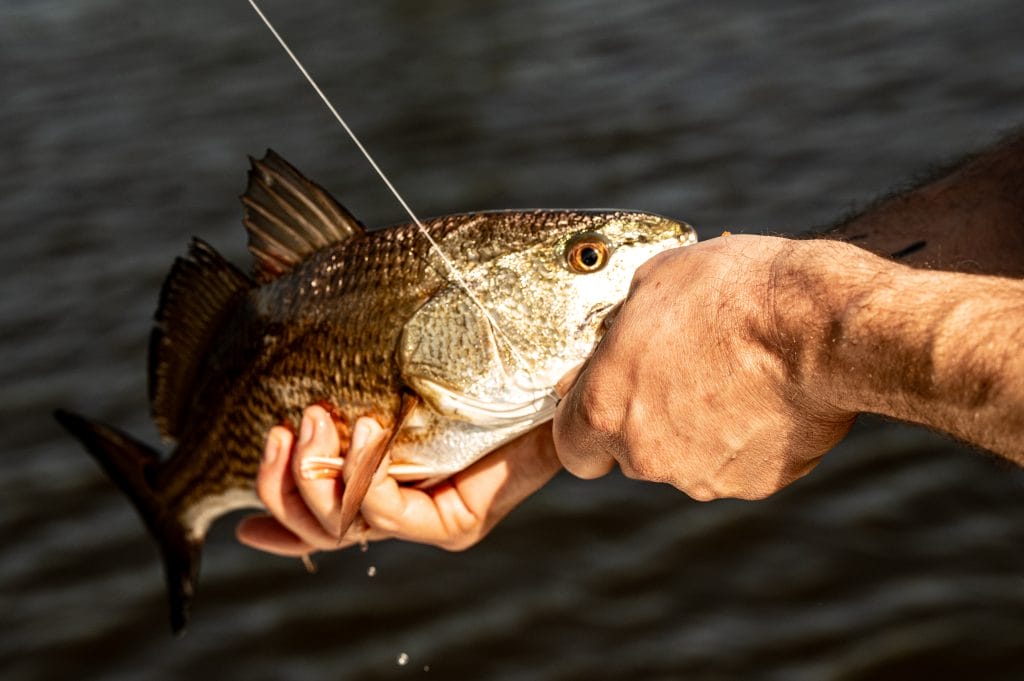 fishing at cajun vista lodge