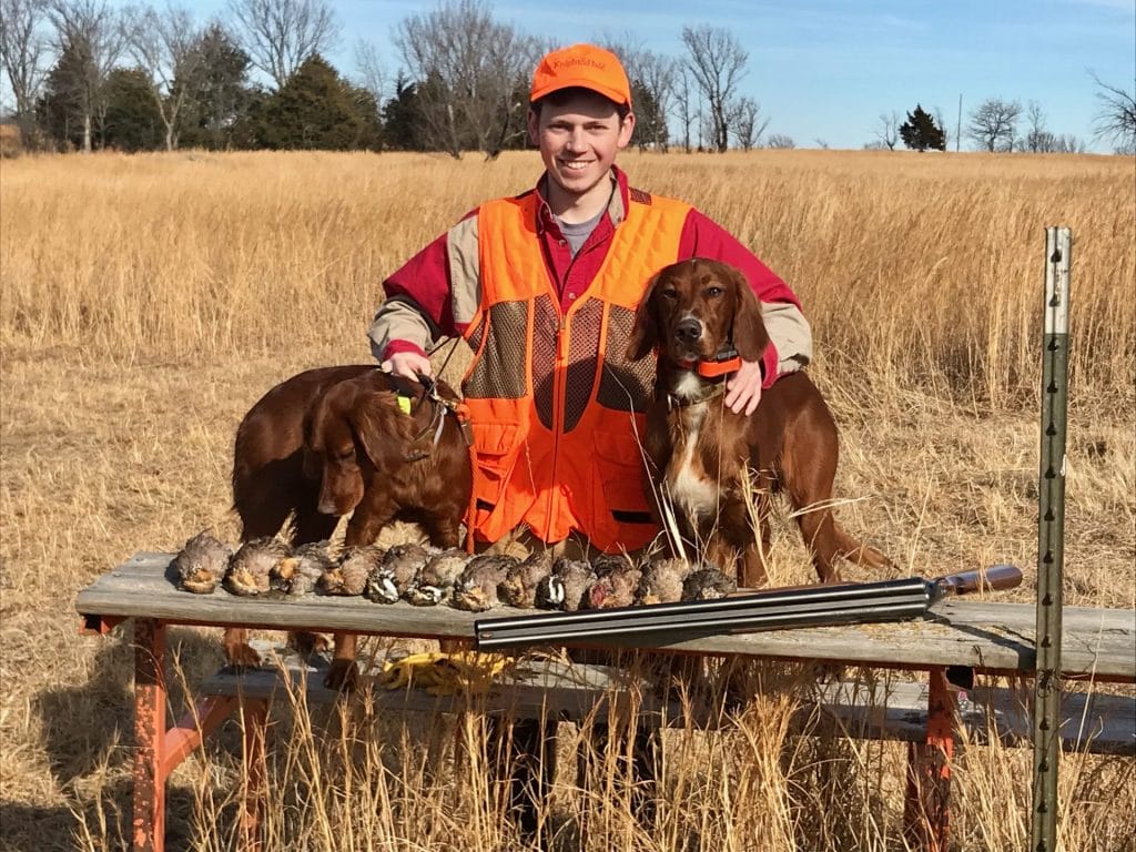 pointer dogs and upland birds