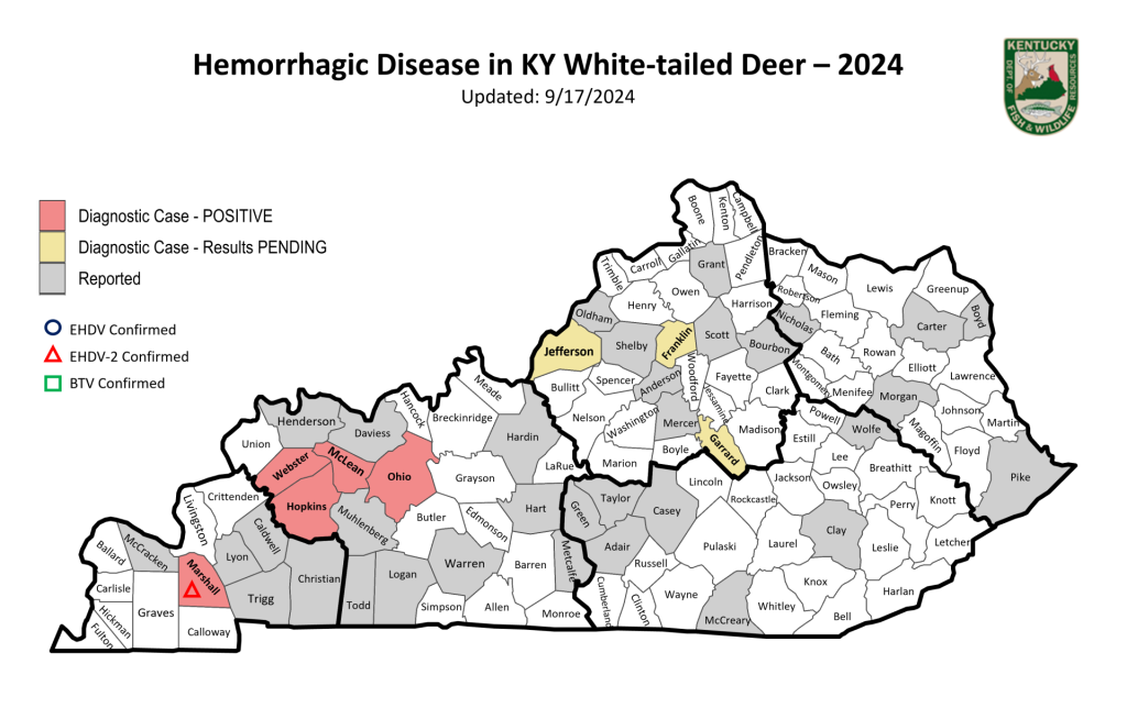 map of Kentucky showing Hemorrhagic Disease areas