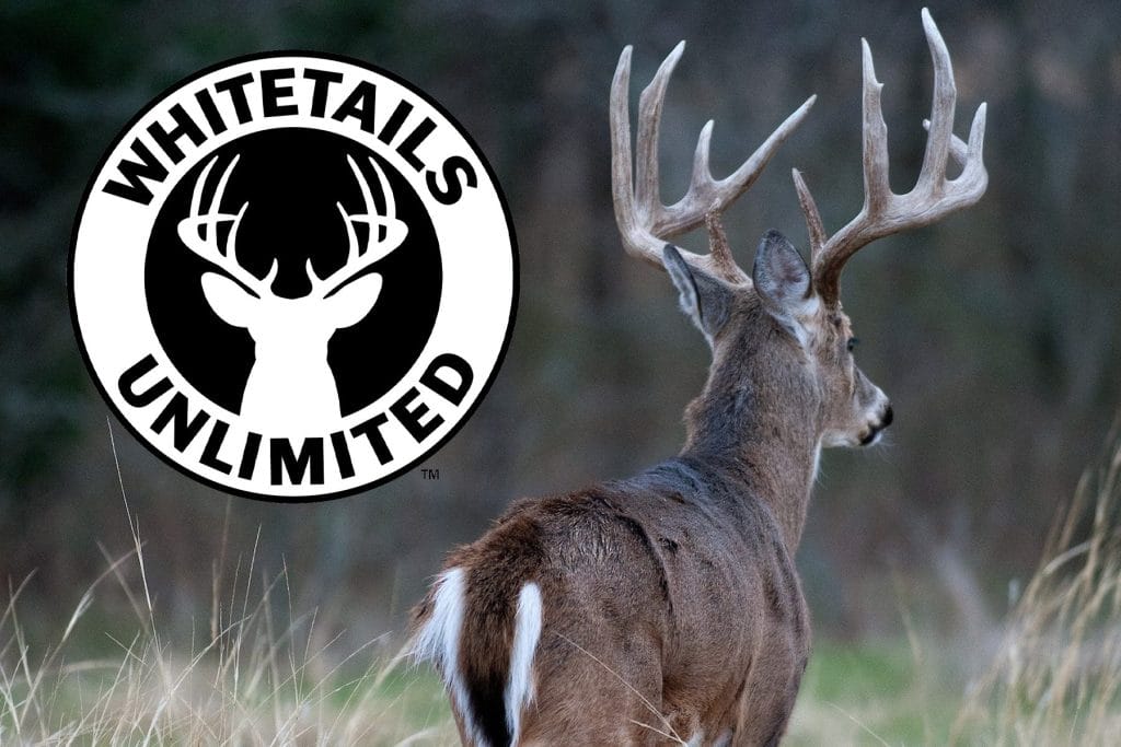 Louisiana Receives Large Grant from Whitetails Unlimited