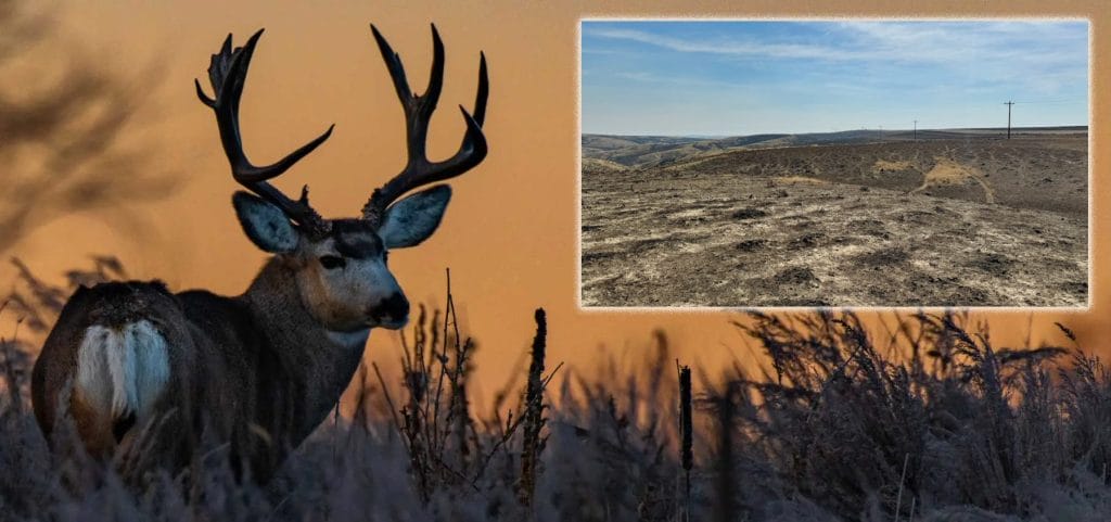 Wildfires Wreck Wyoming 