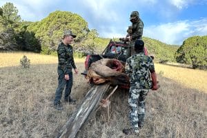 jet jurgensmeyer first elk hunt